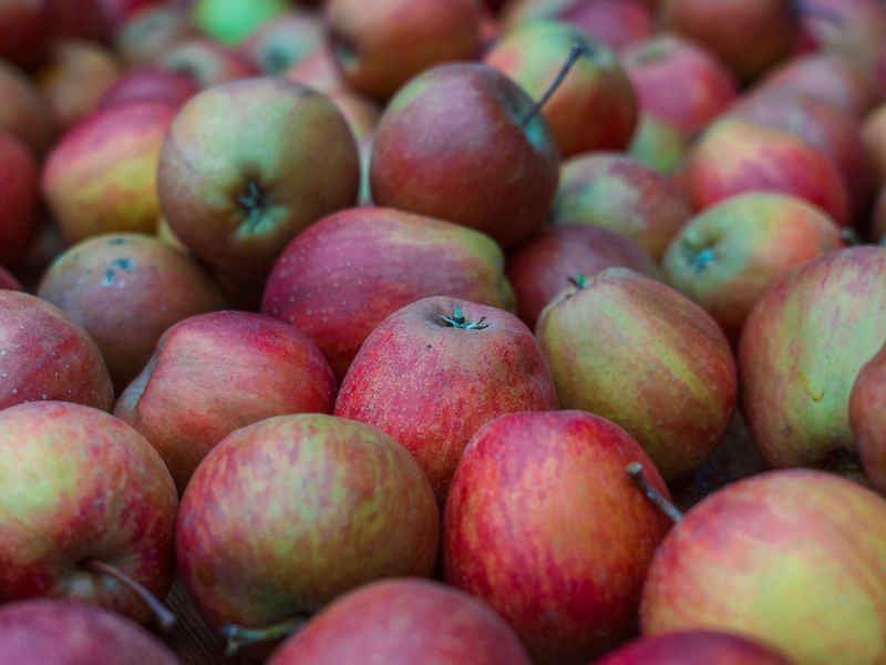 Apple with Almond Butter