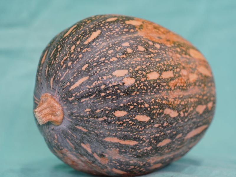 Pumpkin Soup