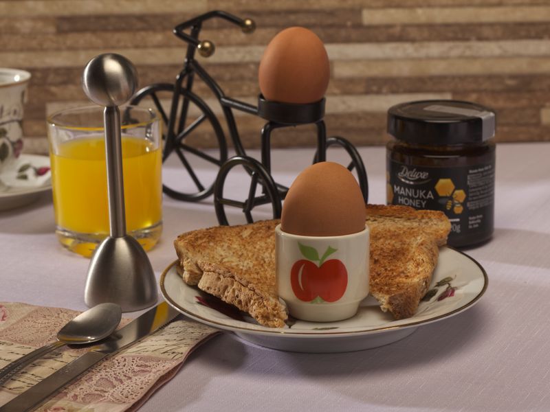 Egg on Whole Grain Bread
